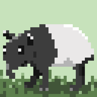Tapir