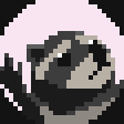 Instafluff Raccoon