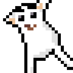Chihuahua Girl